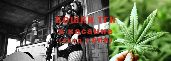 дурь Бронницы