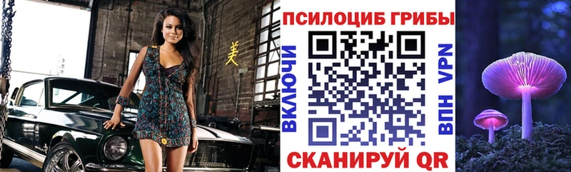 хочу наркоту  Давлеканово  Галлюциногенные грибы мицелий 